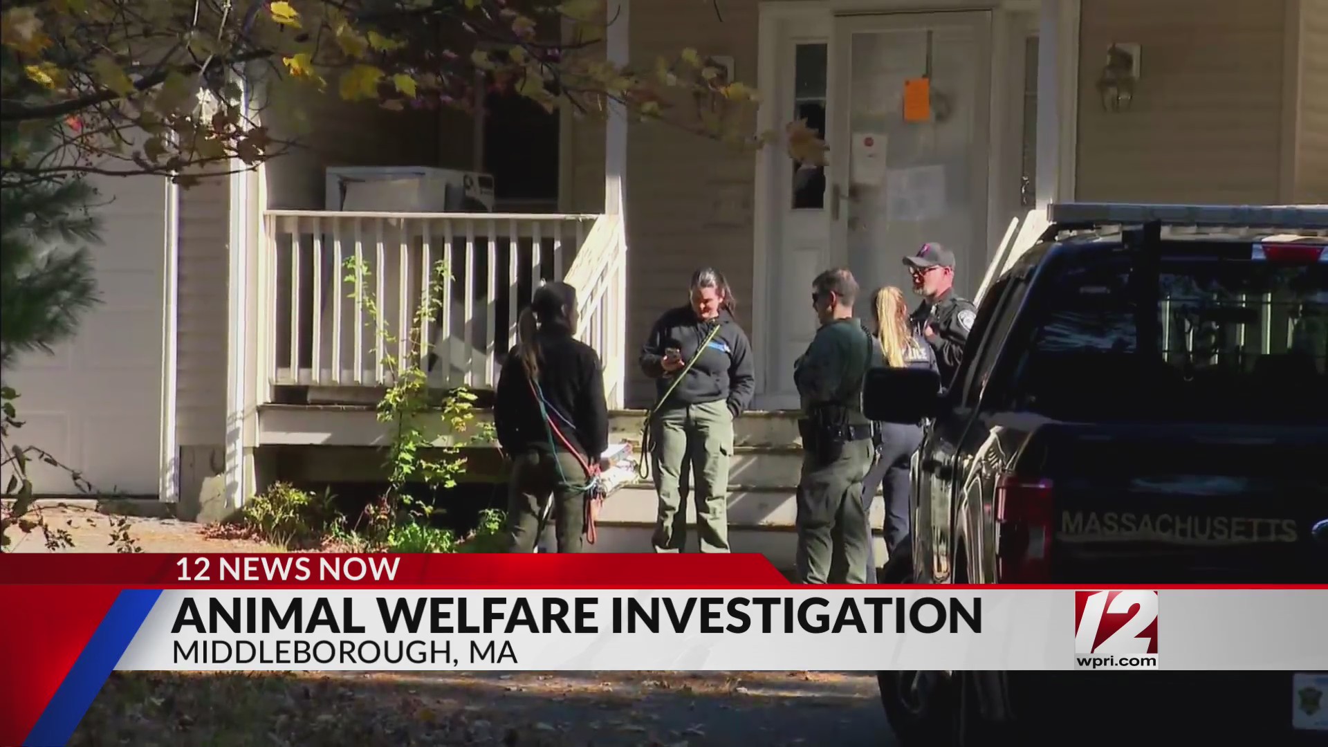 17 dogs found living in squalor at Middleboro home