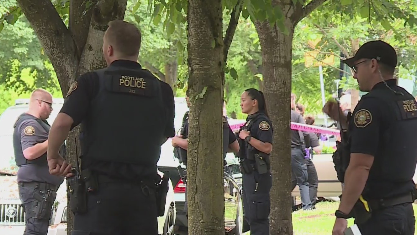 Man killed in shooting near Portland park – KOIN.com