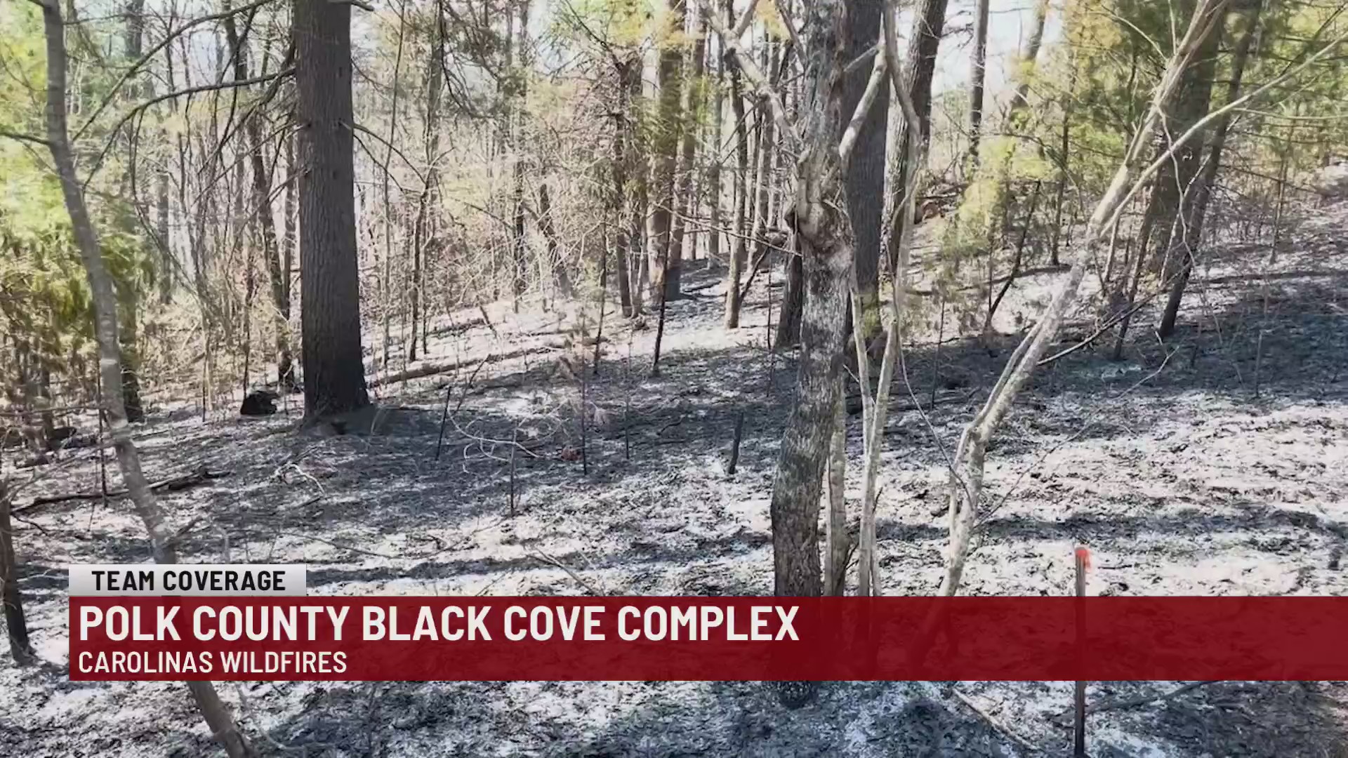 Polk County Black Cove Complex – WSPA 7NEWS