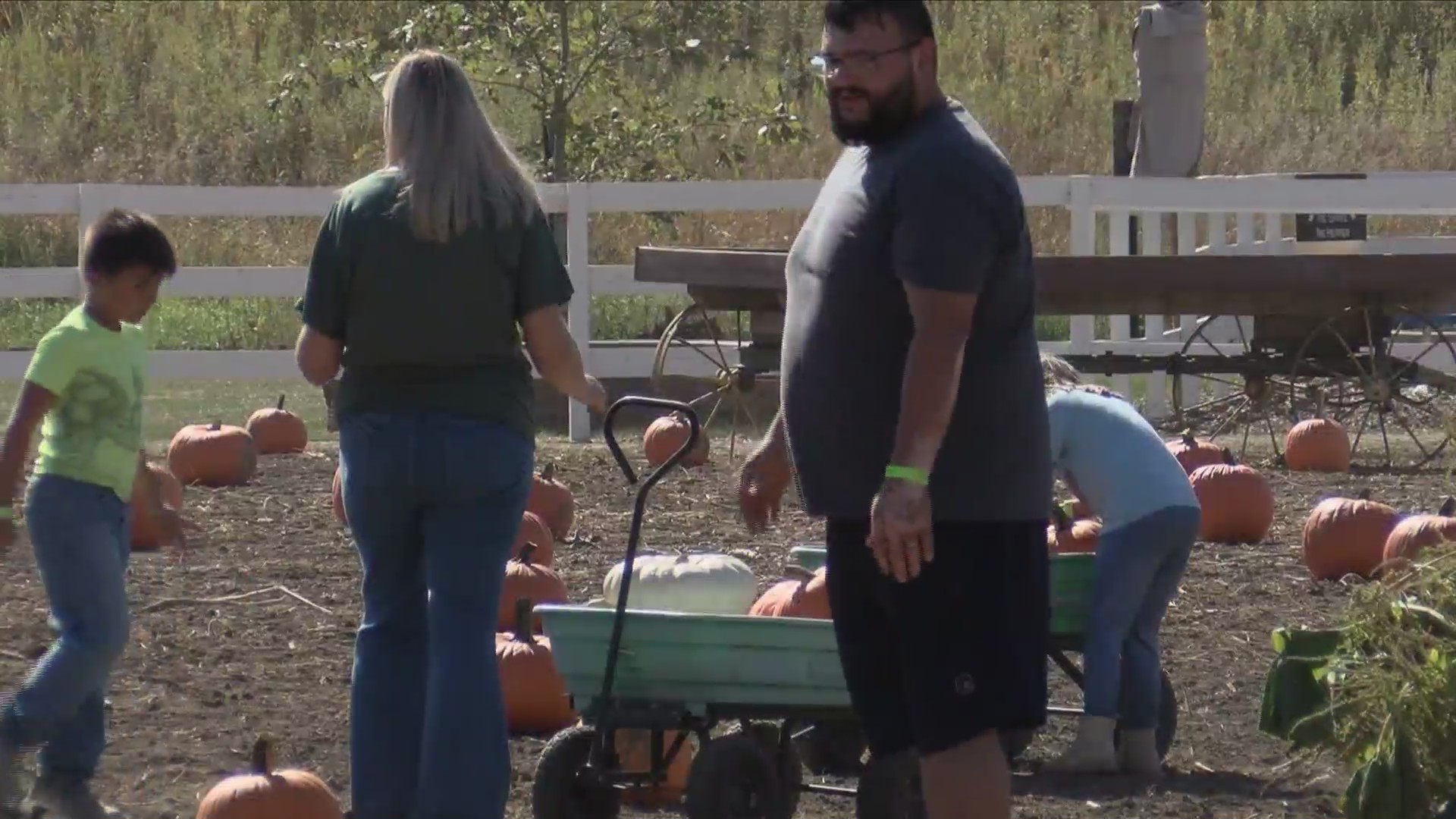 Pumpkin Production Strong This Year SiouxlandProud Sioux City, IA