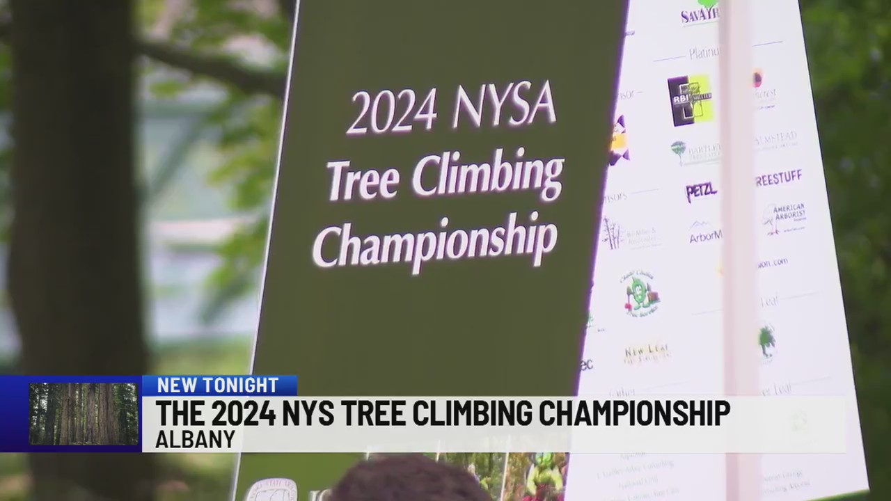 The 2024 NYS Tree Climbing Championship – NEWS10 ABC