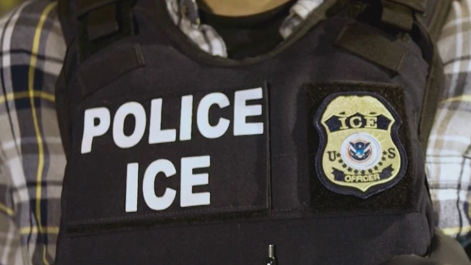 US may lose more immigrants than it gains in 2025: Report | NewsNation ...