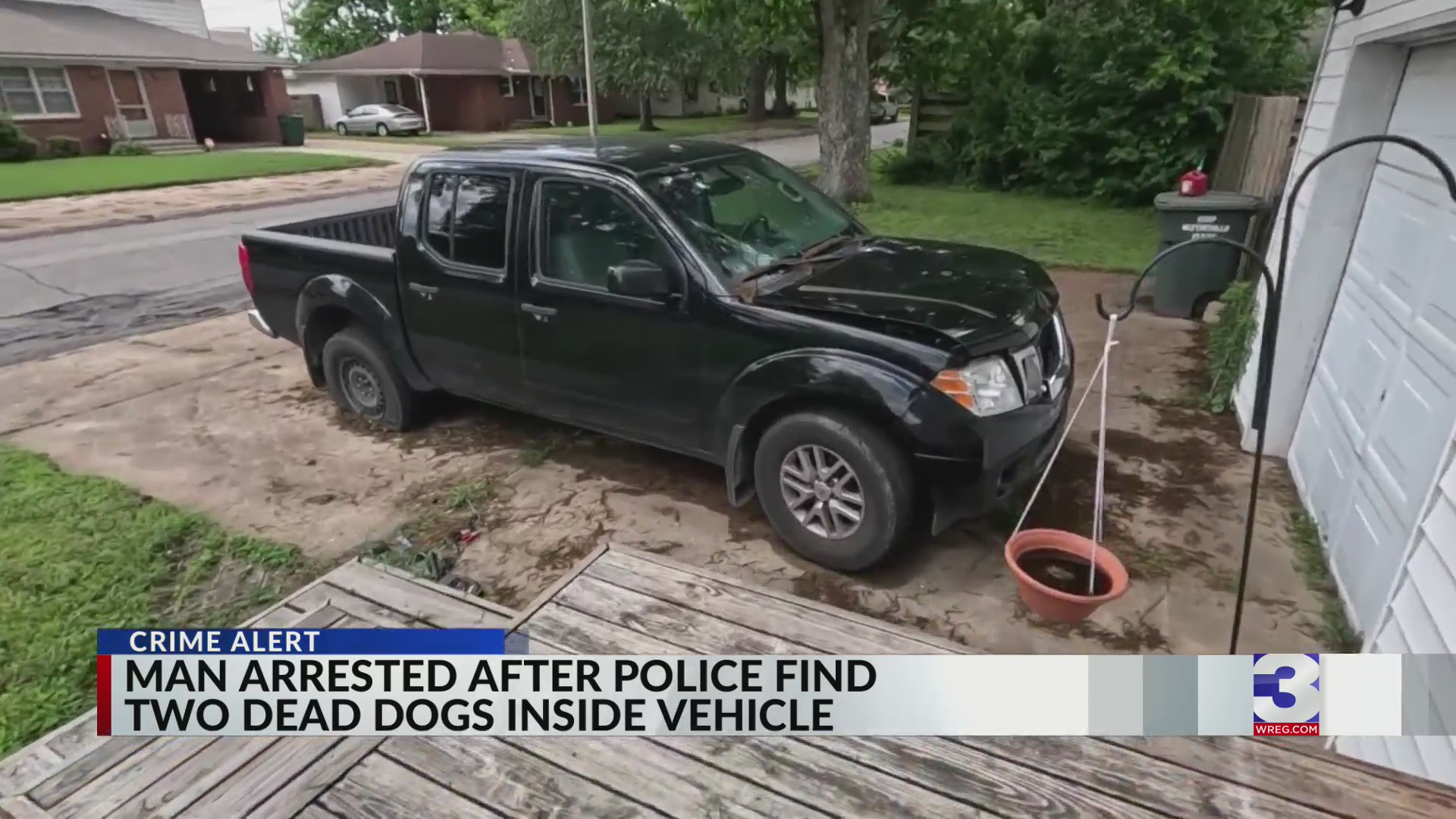Two dogs found dead in truck; man arrested – WREG.com