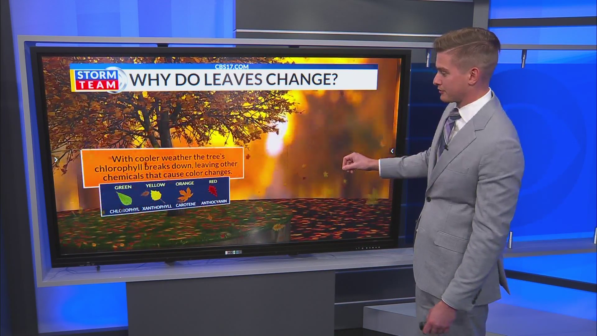 Why do fall leaves change? – CBS17.com