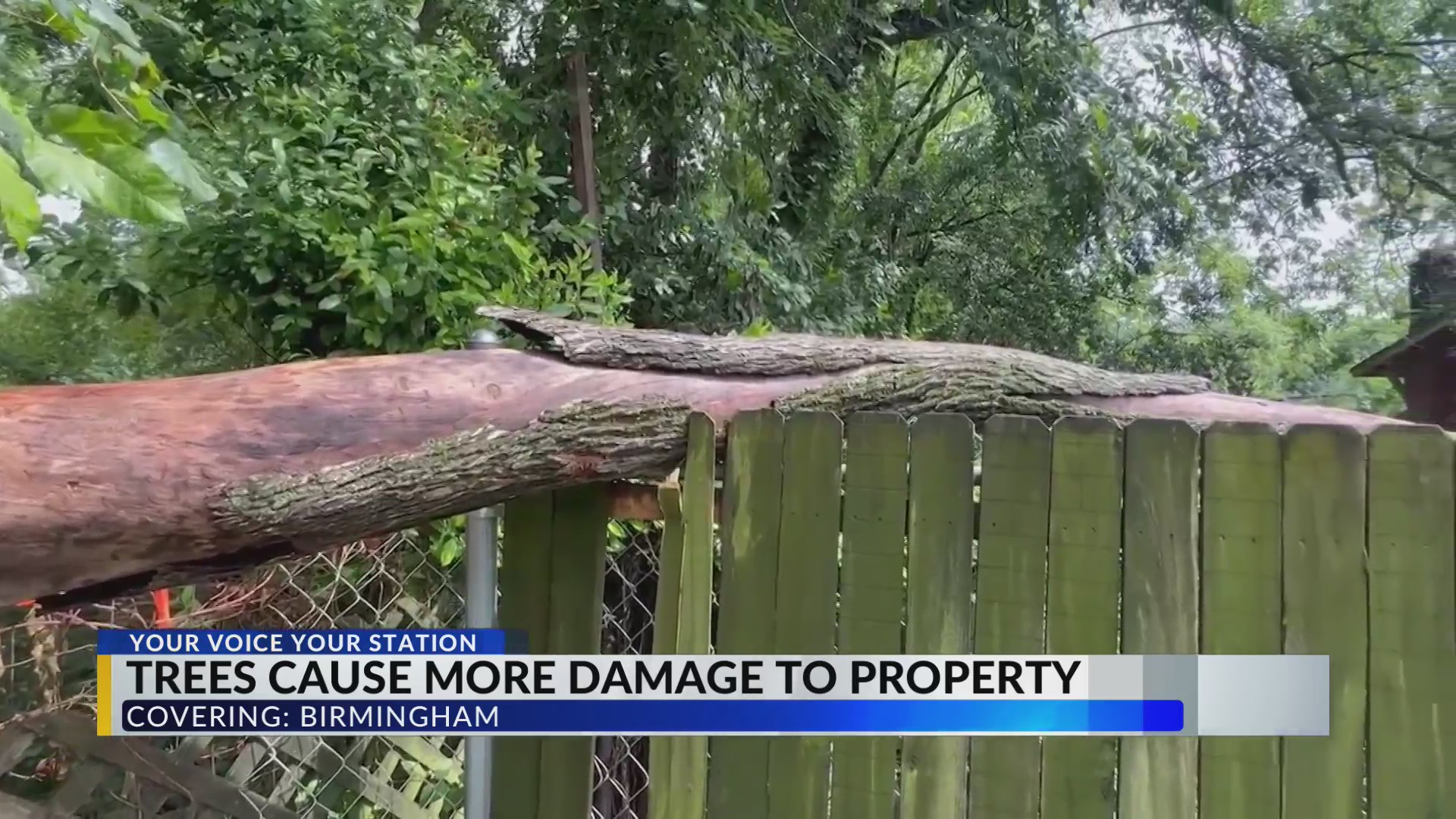 Tree limb falls in Birmingham, causing more damage – CBS 42
