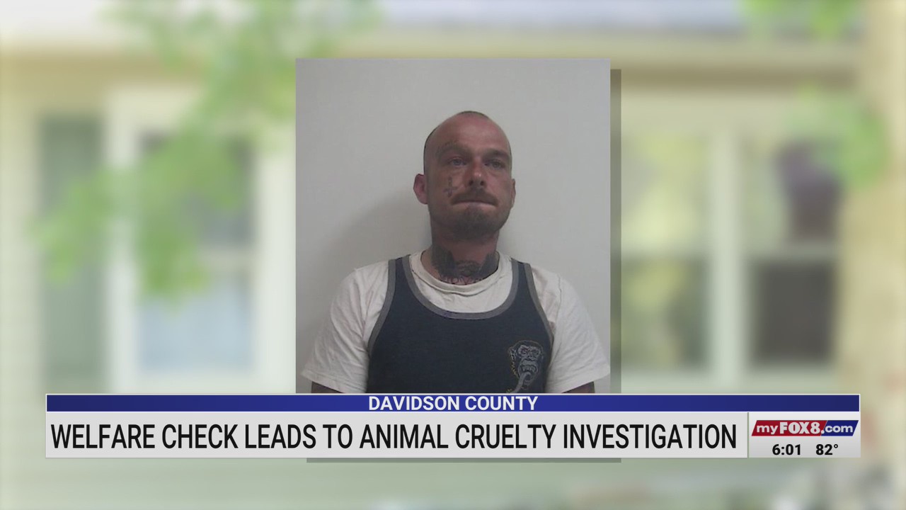 Welfare check in Davidson County leads to animal cruelty investigation ...