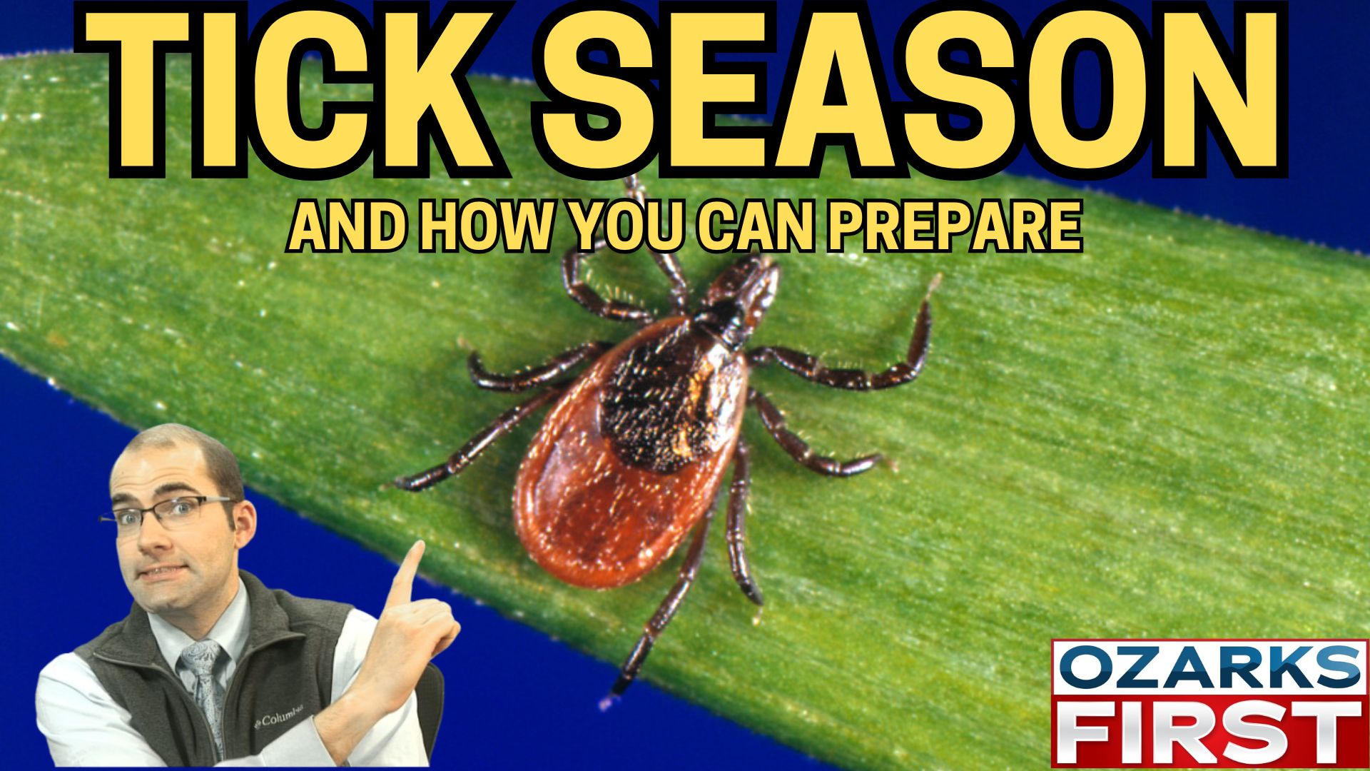Missouri tick season begins soon KOLR