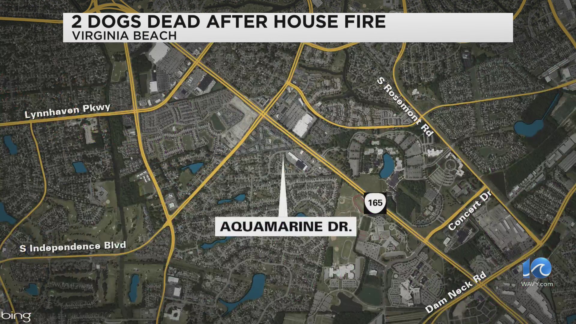 2 dogs dead, 3 adults displaced in Virginia Beach house fire – WAVY.com