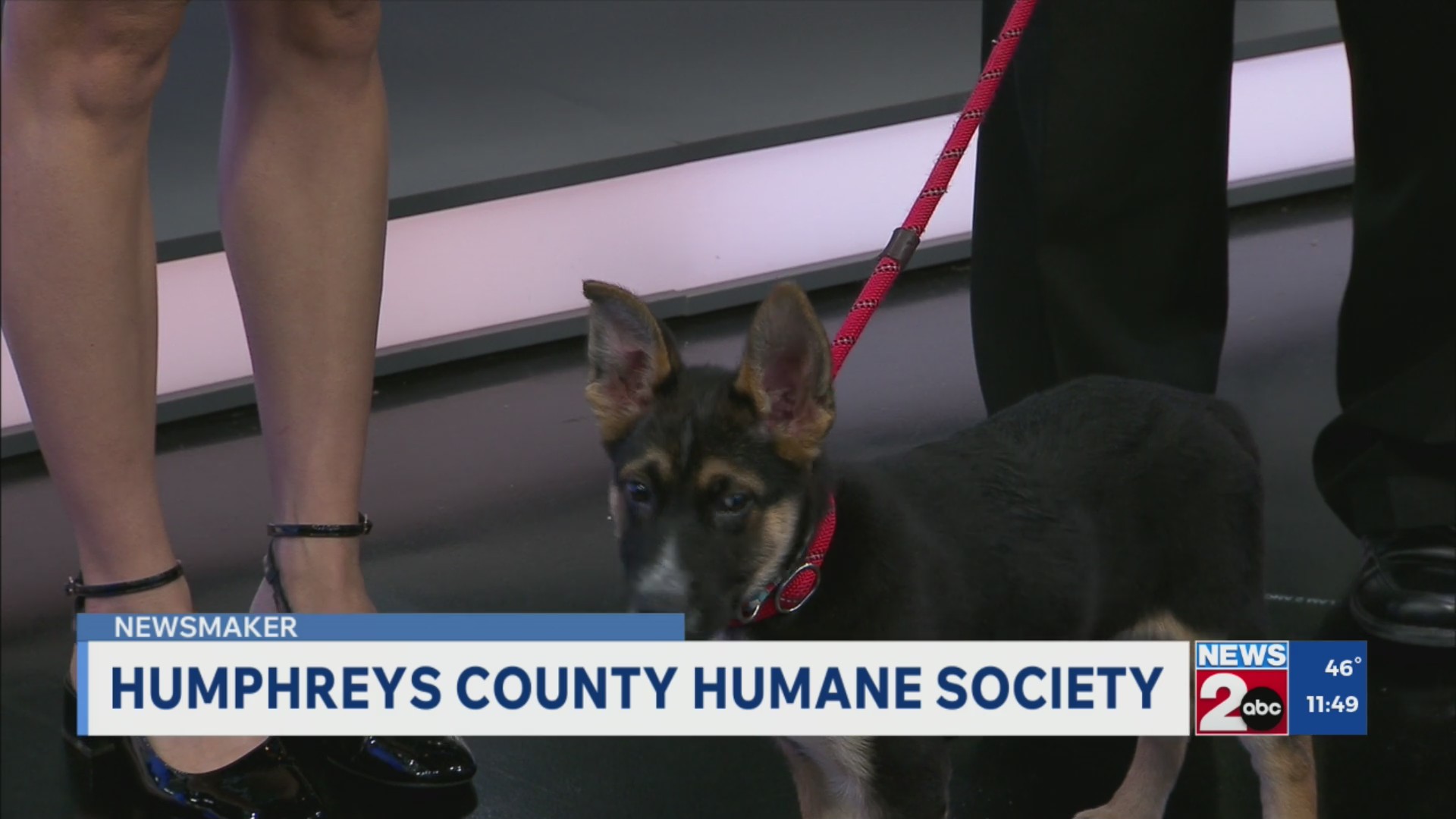 Newsmaker: Humphreys County Humane Society – WKRN News 2
