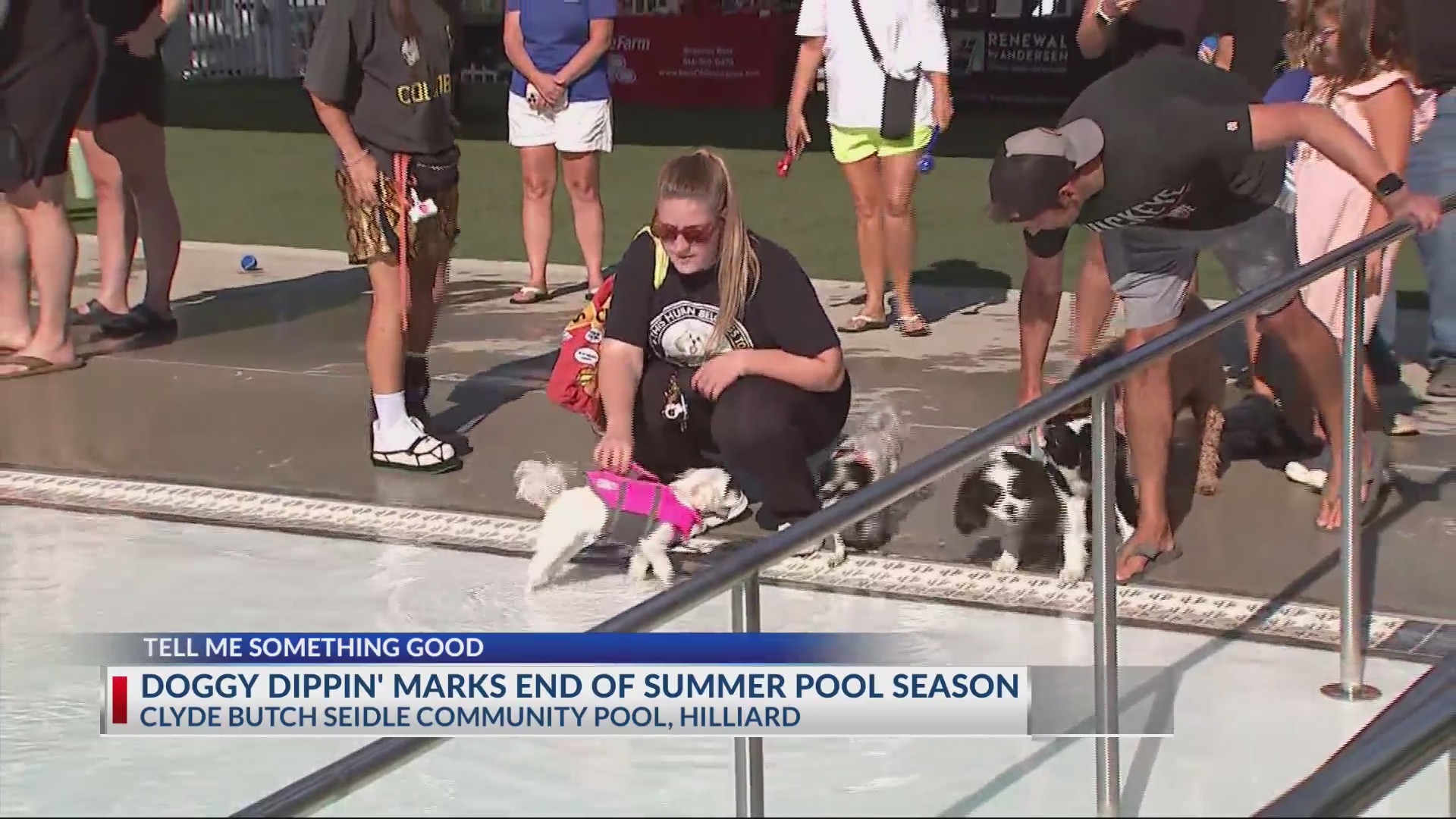 Multiple U.S., Canada Pools Host Annual Dog Swim Events