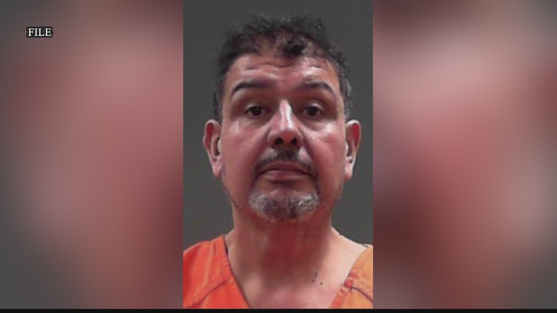 West Virginia racehorse caretaker pleads guilty to animal cruelty ...