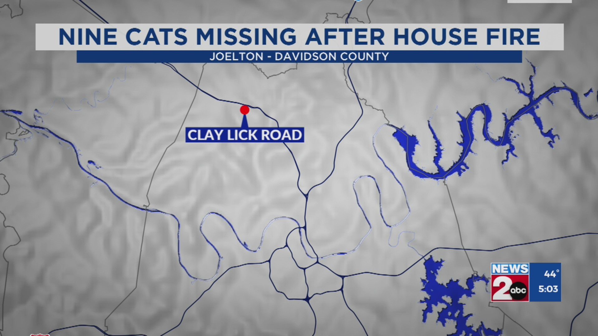 9 cats reported missing, several people affected by house fire – WKRN ...