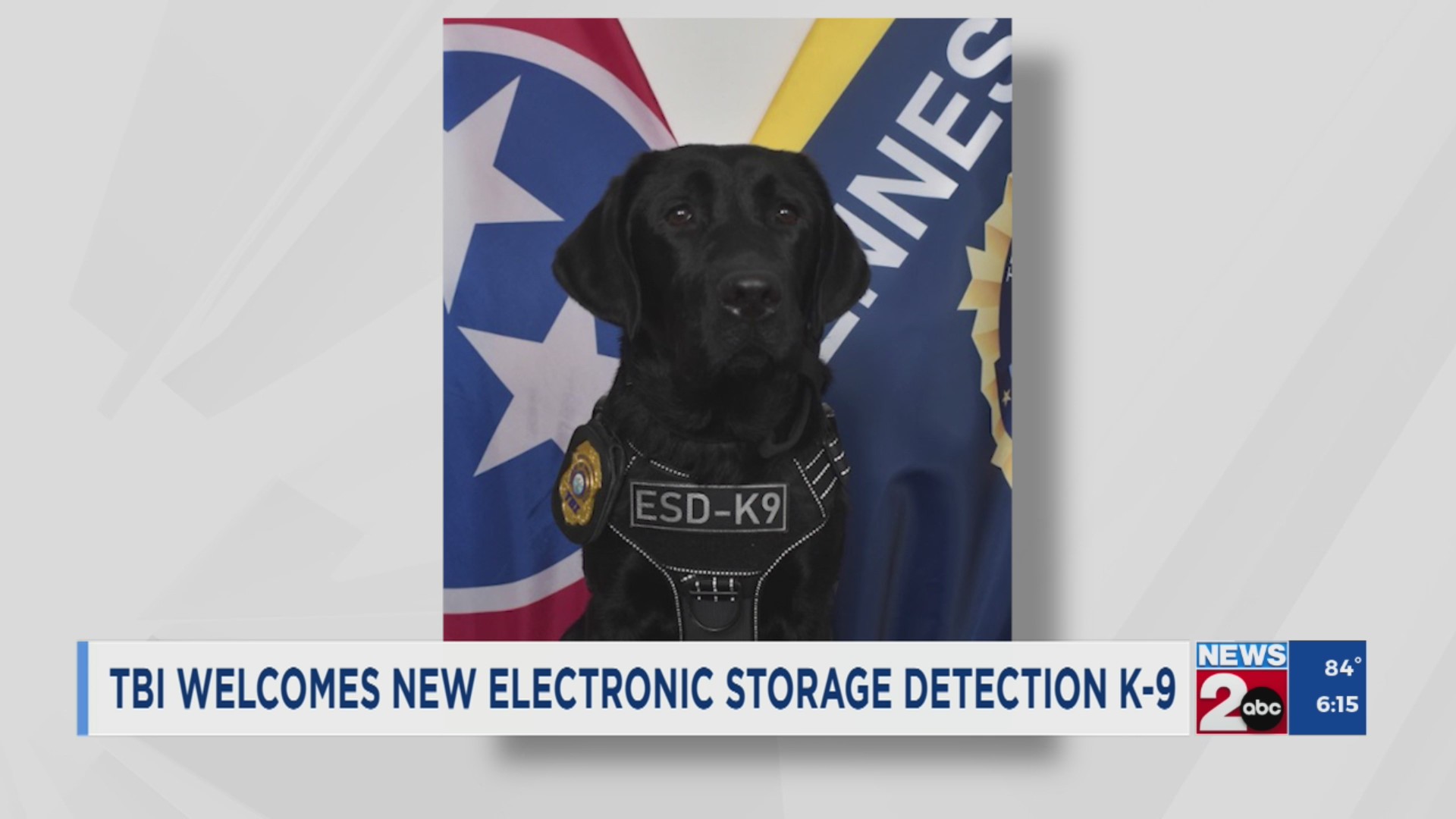 TBI welcomes new electronic storage detection K-9 – WKRN News 2