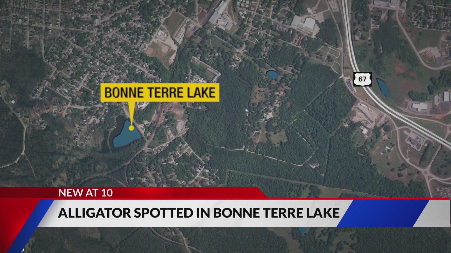 Small alligator spotted in Bonne Terre Lake FOX 2
