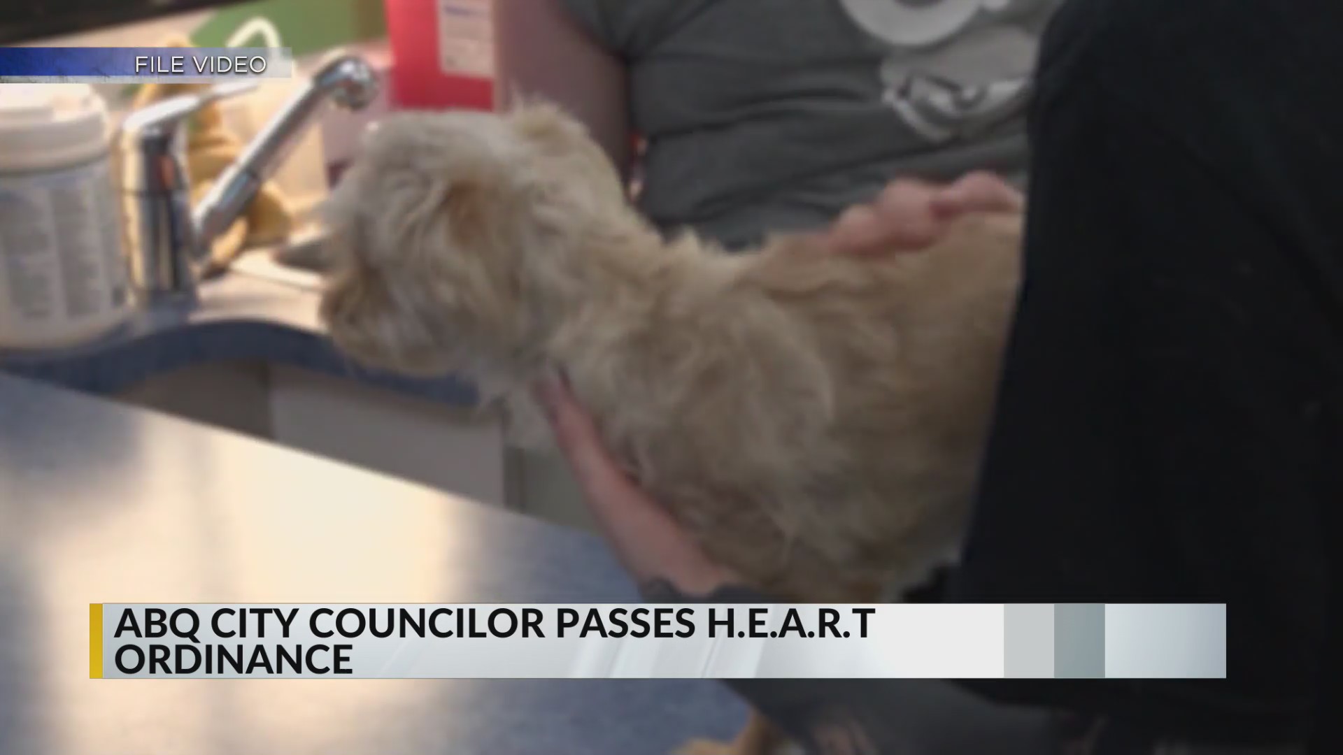 Albuquerque City Council expands ‘HEART’ ordinance – KRQE NEWS 13 ...