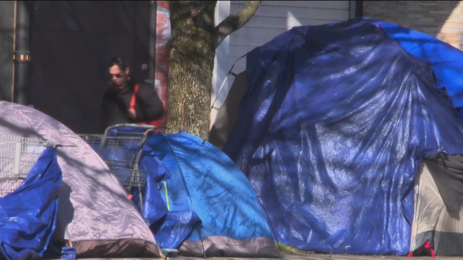 Portland Mayor Wilson urges county leaders to adopt homelessness ...