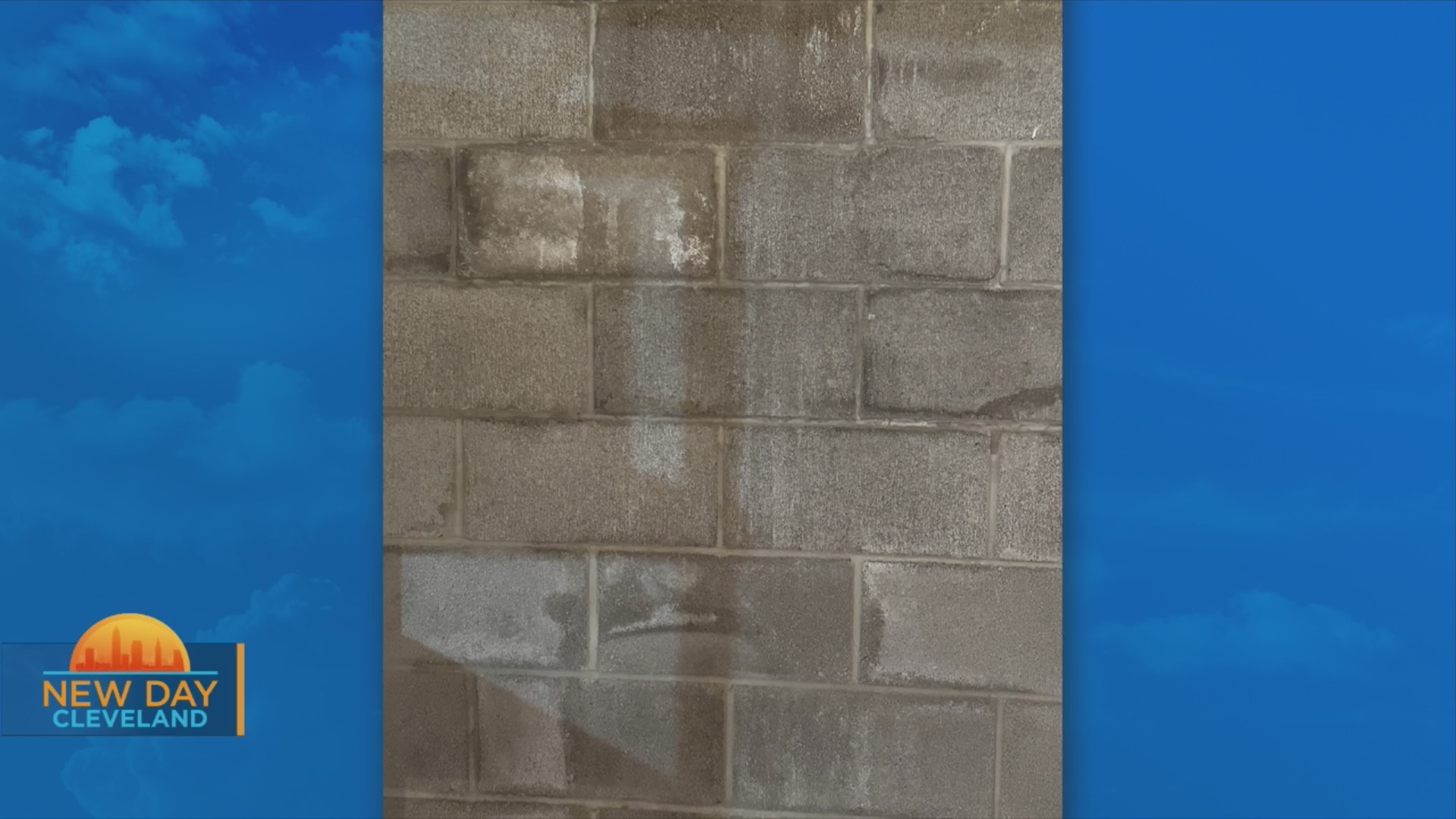 New Day Cleveland: Ohio State Waterproofing – Fox 8 Cleveland WJW