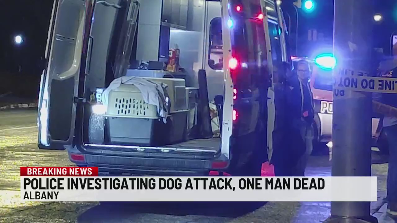 Deadly dog attack in Albany NEWS10 ABC