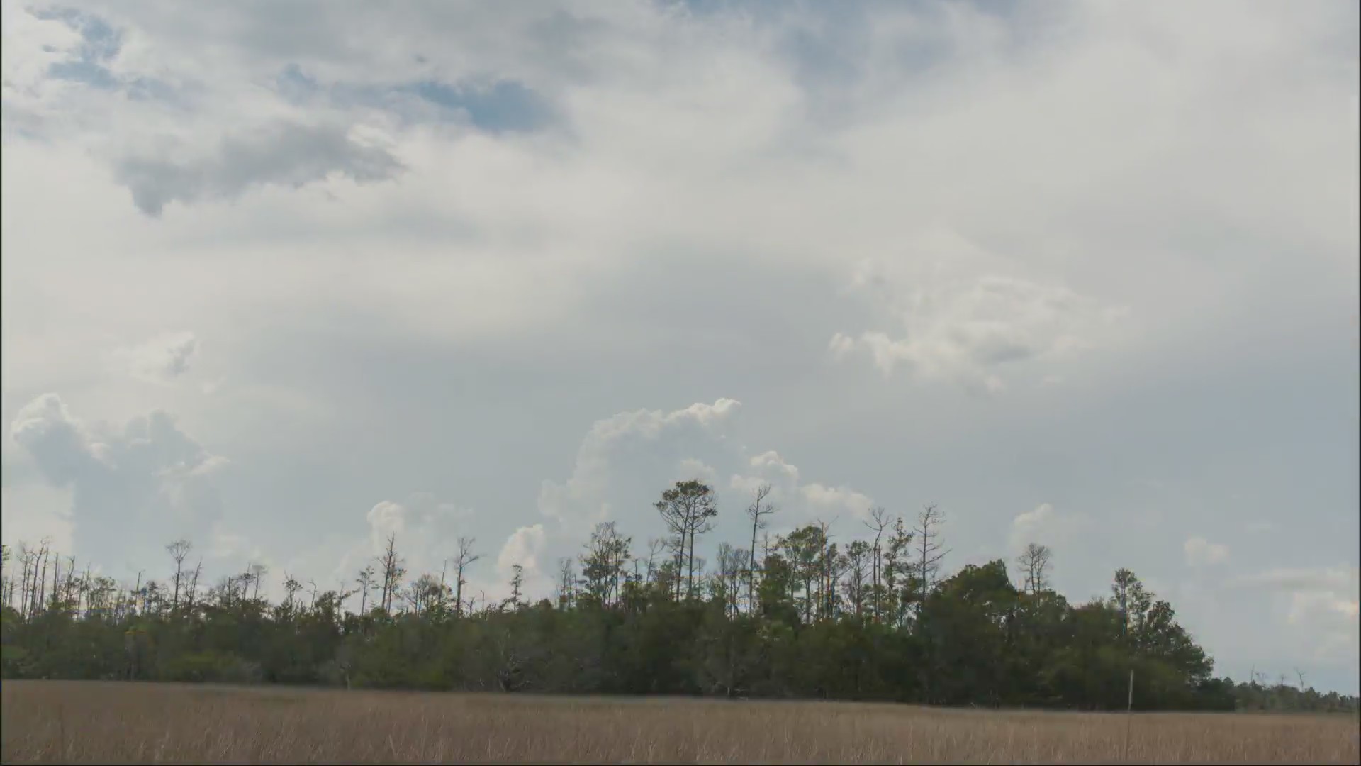 Jed’s 6-14 Weather Update – WCBD News 2