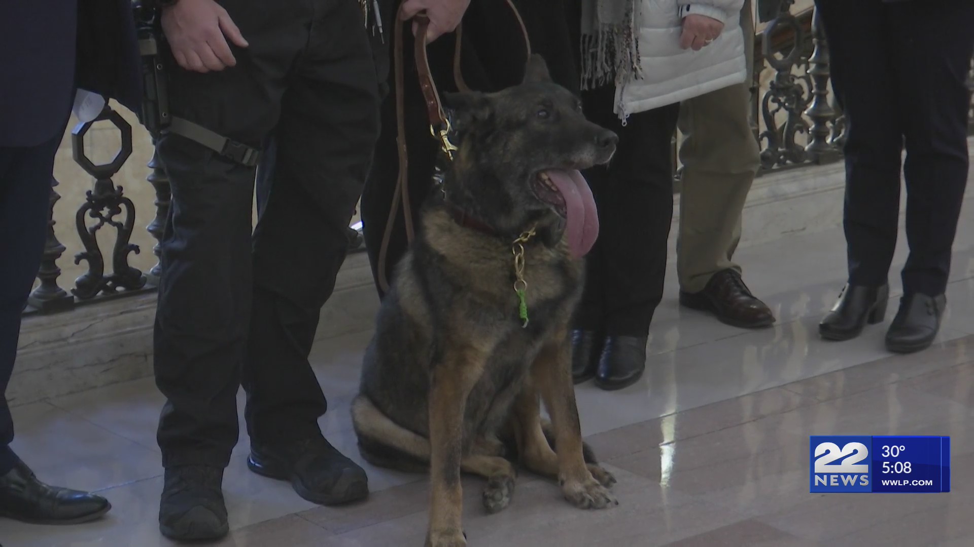 Retired Springfield Police K9 to receive national recognition for ...