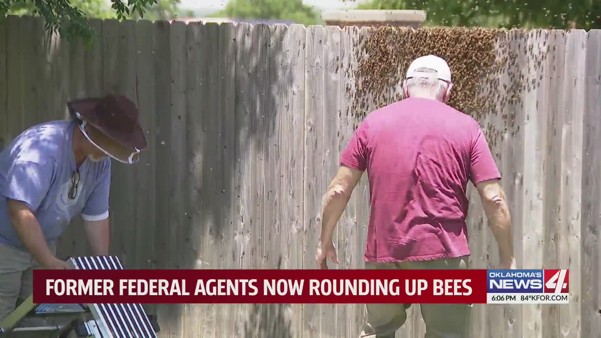 Former federal agents now rounding up bees – KFOR.com Oklahoma City
