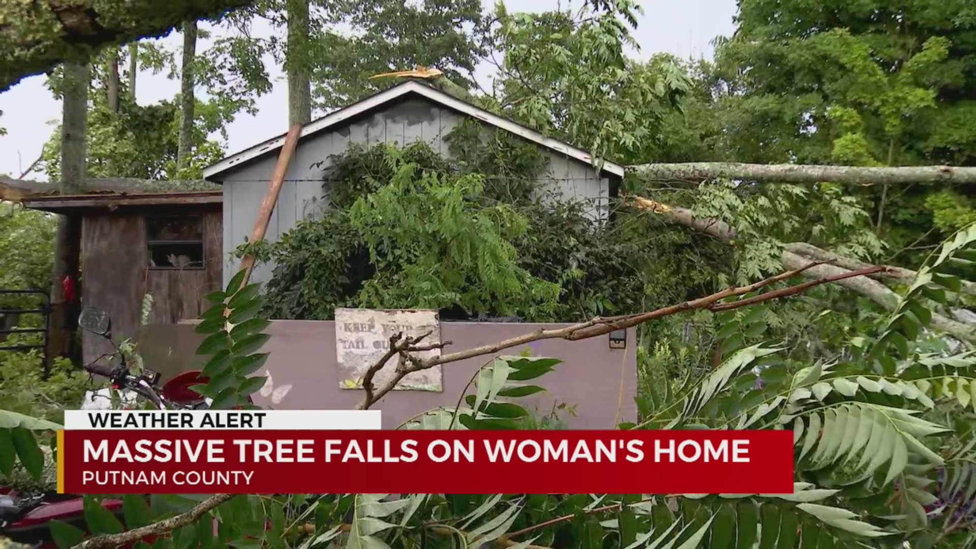 Tree falls on woman’s Putnam County home – WKRN News 2