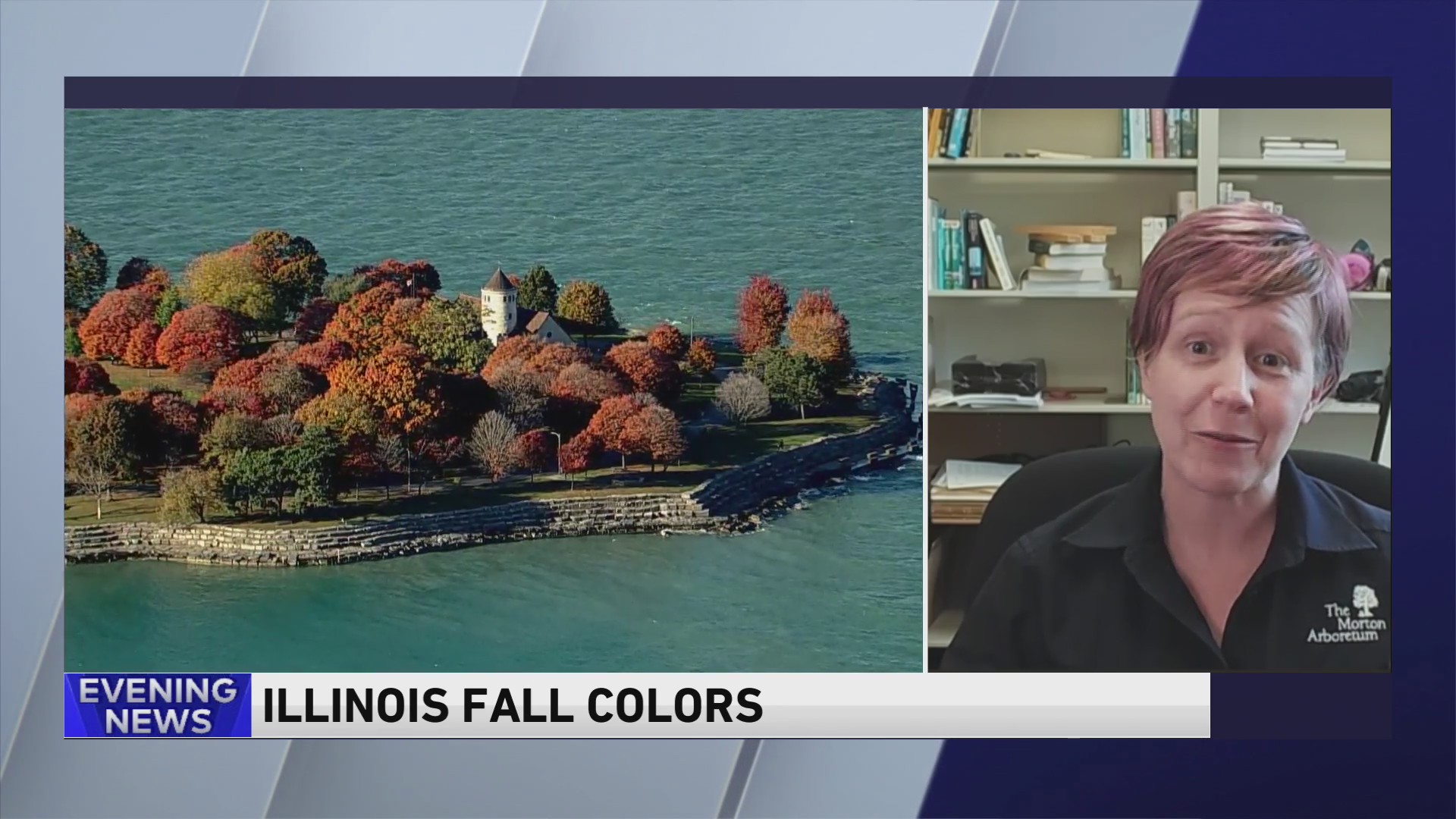 What to expert for Fall colors in Illinois – WGN-TV