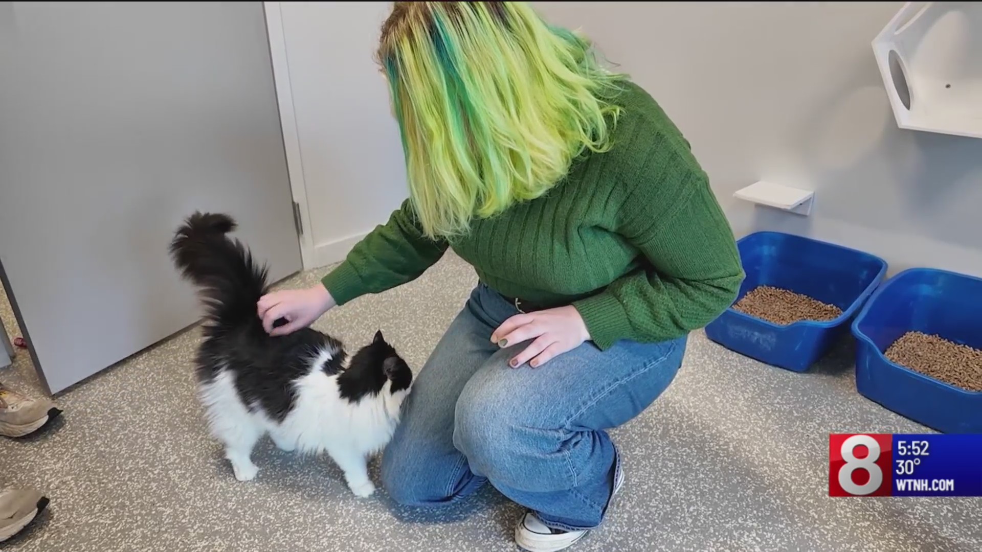 University of New Haven students fundraise for animal shelter with ...