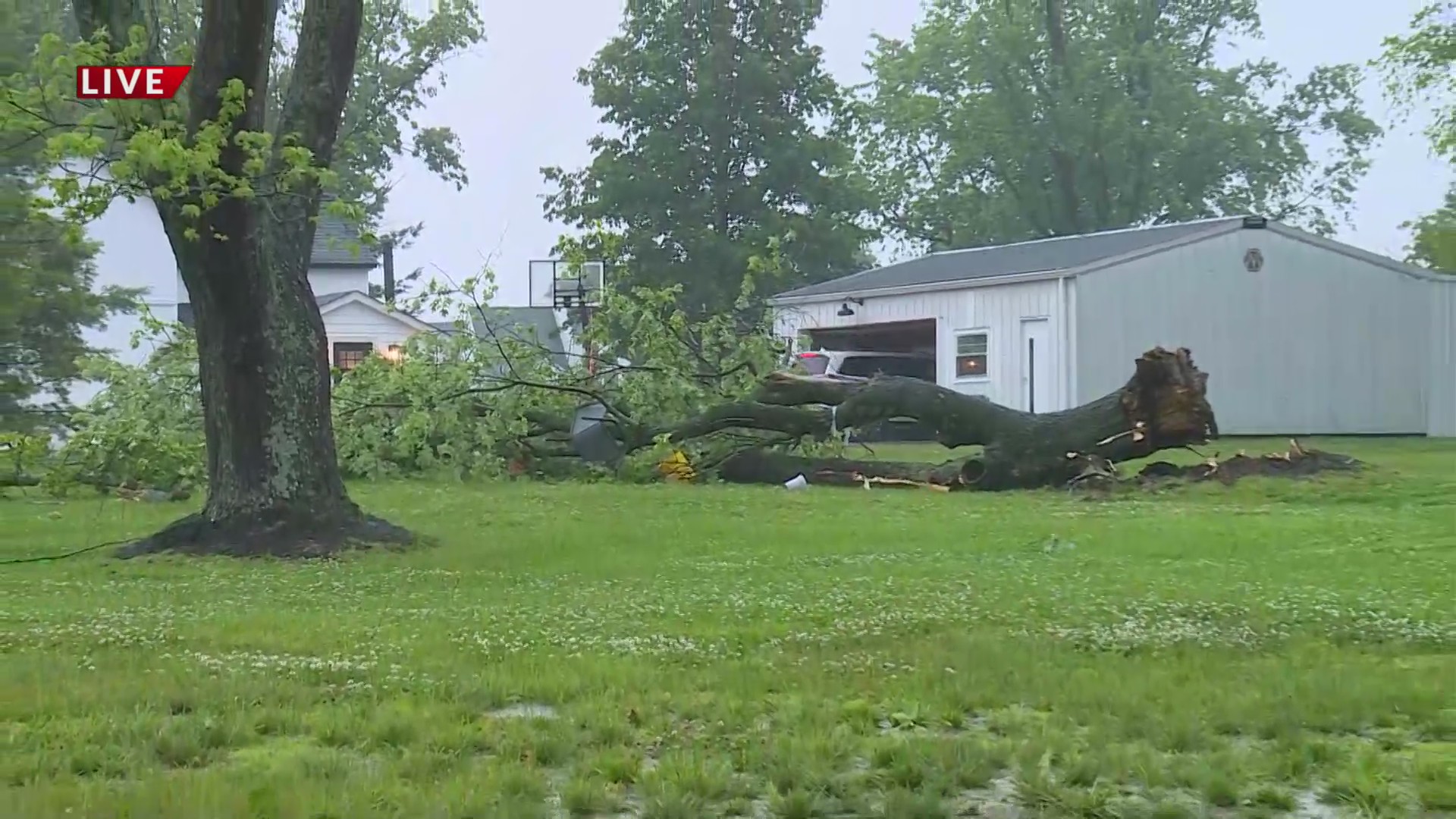Powerful storm topples trees in Wildwood – FOX 2