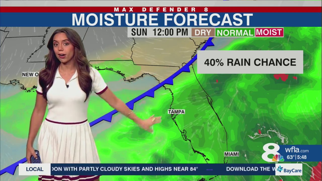 Rain-free and warm to end the workweek in Tampa – WFLA