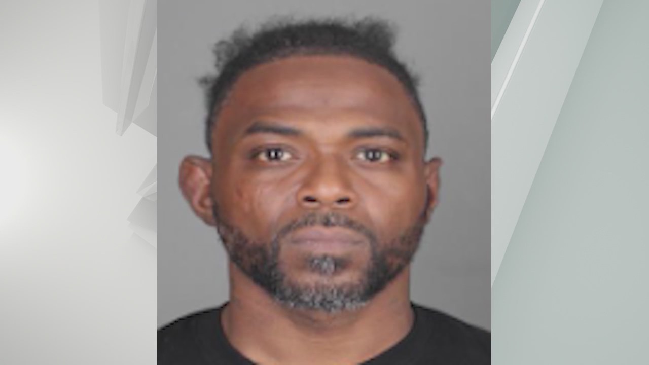 Man pleads guilty in fatal dog mauling case – NEWS10 ABC