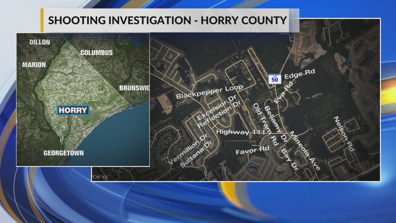 Person wounded in Horry County shooting, police say – WBTW