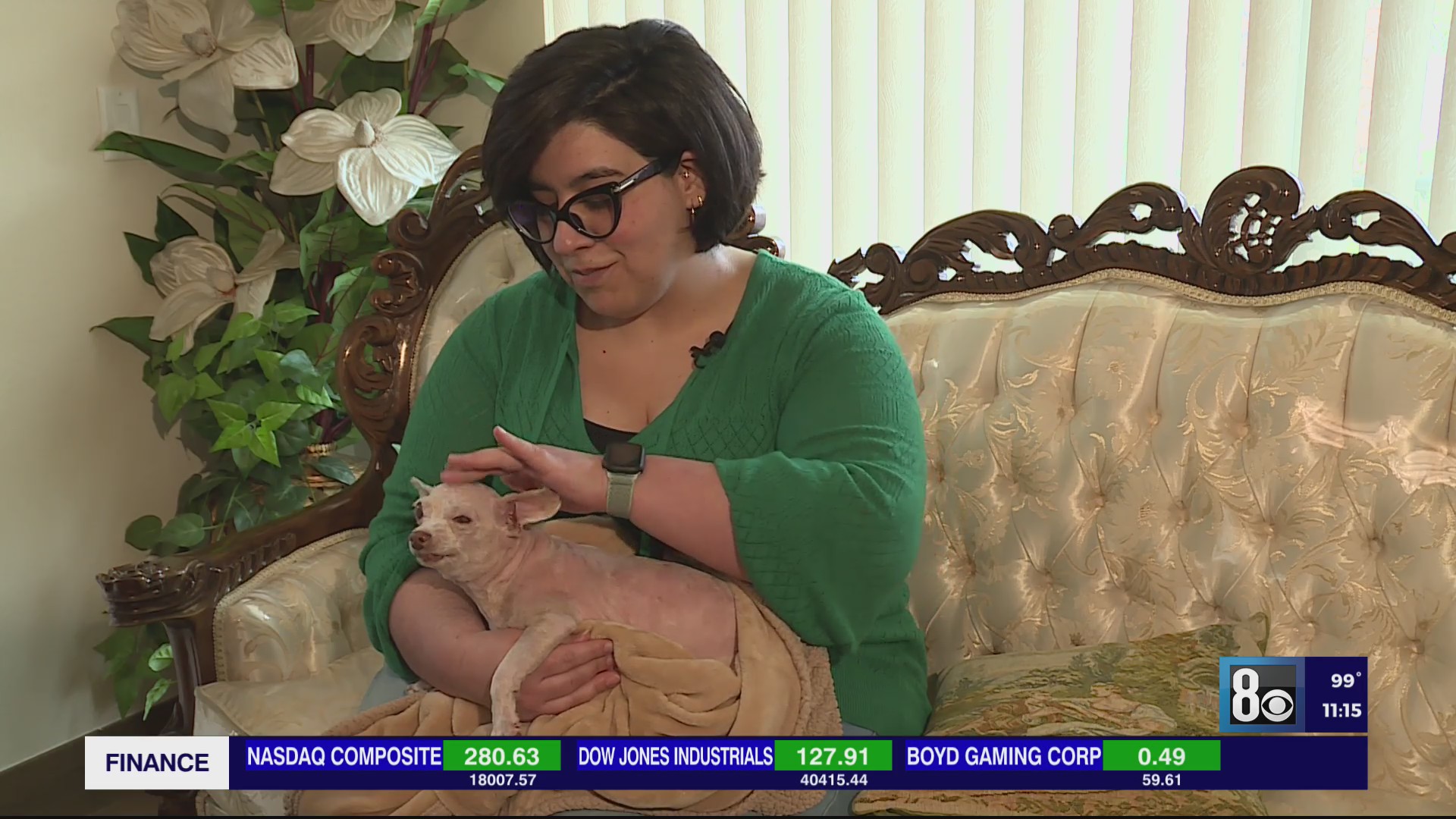 Las Vegas dog missing for 9 years finally returns home – FOX31 Denver