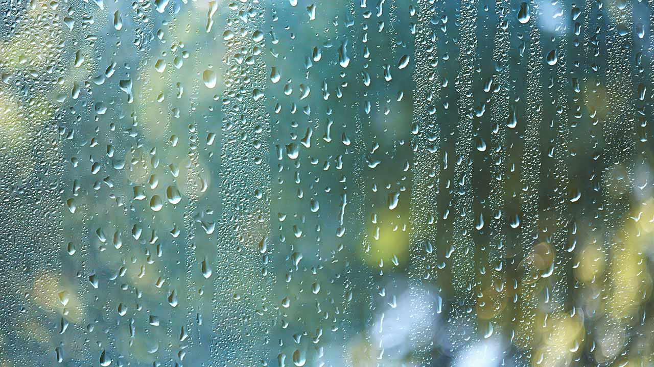 Showers linger overnight – WKBN.com