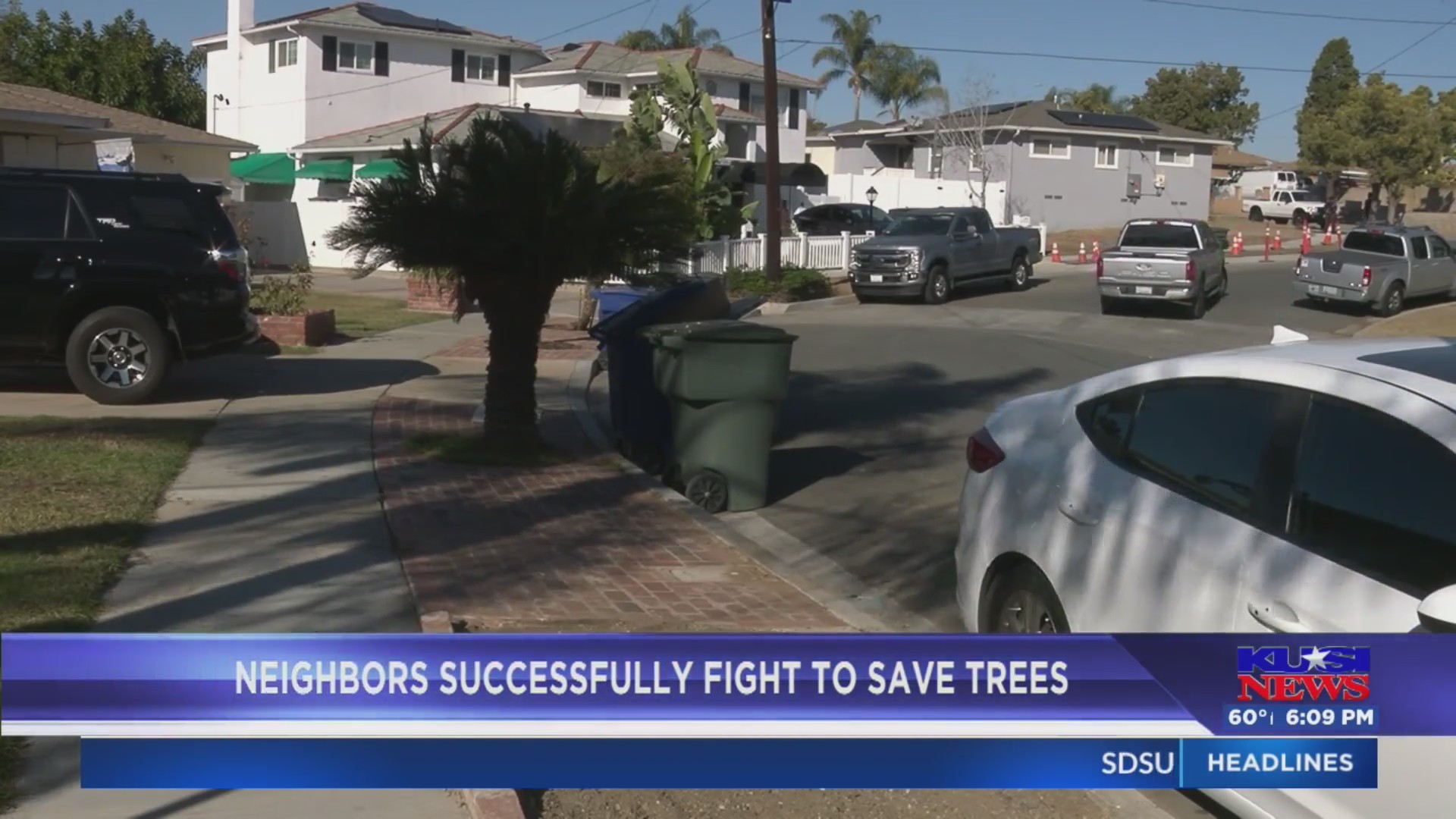 Neighbors successfully fight to save trees – FOX 5 San Diego & KUSI News