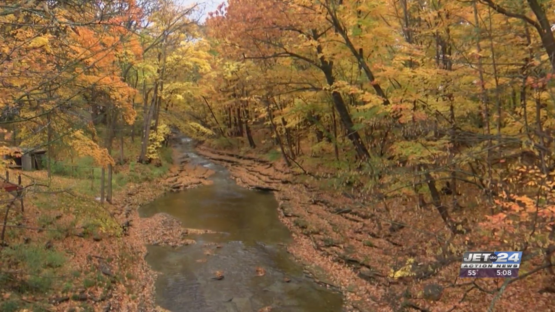 Peak fall foliage coming through NWPA next week – WJET/WFXP/YourErie.com