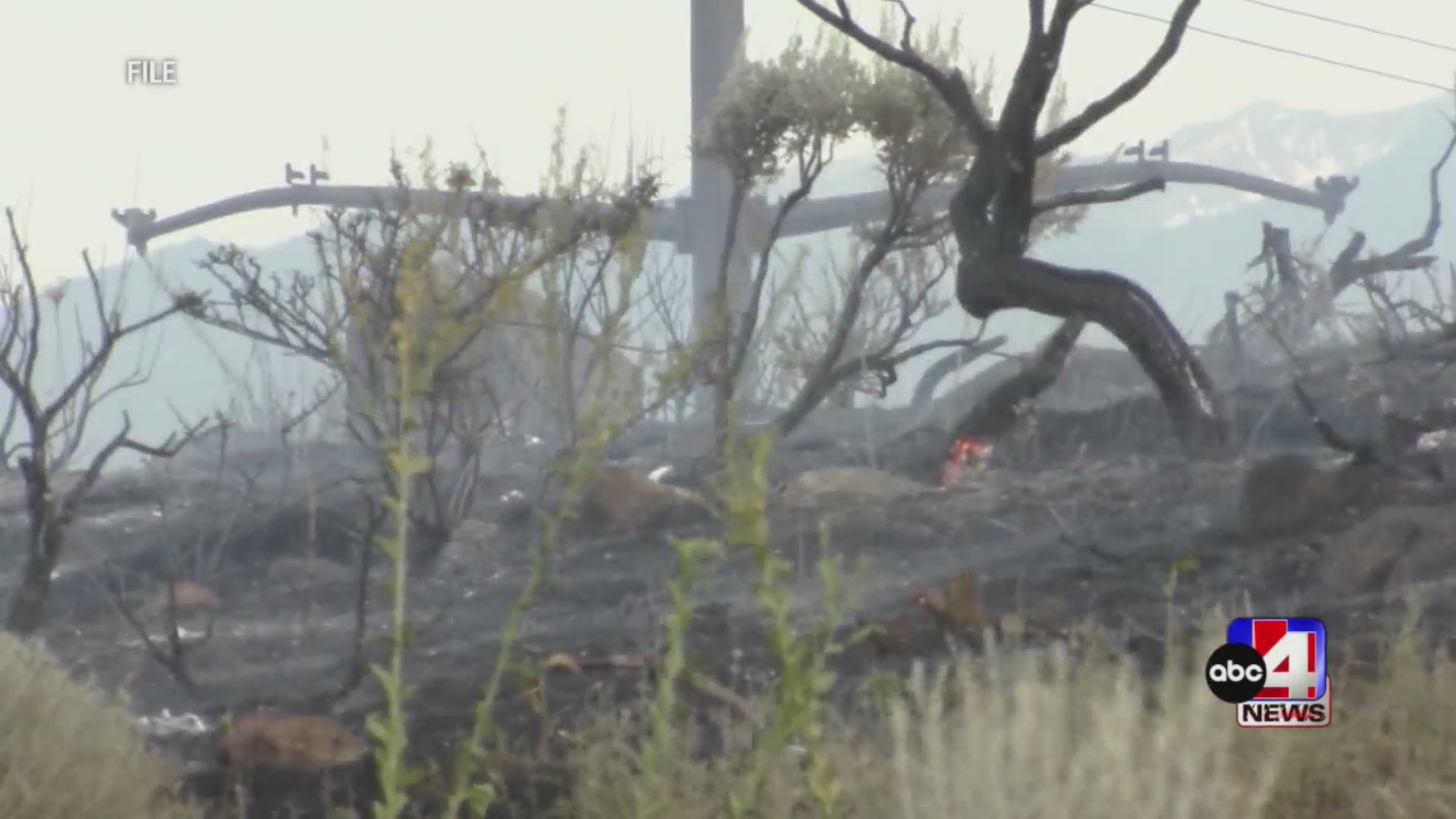 May is National Wildfire Awareness Month — here’s what you need to know ...