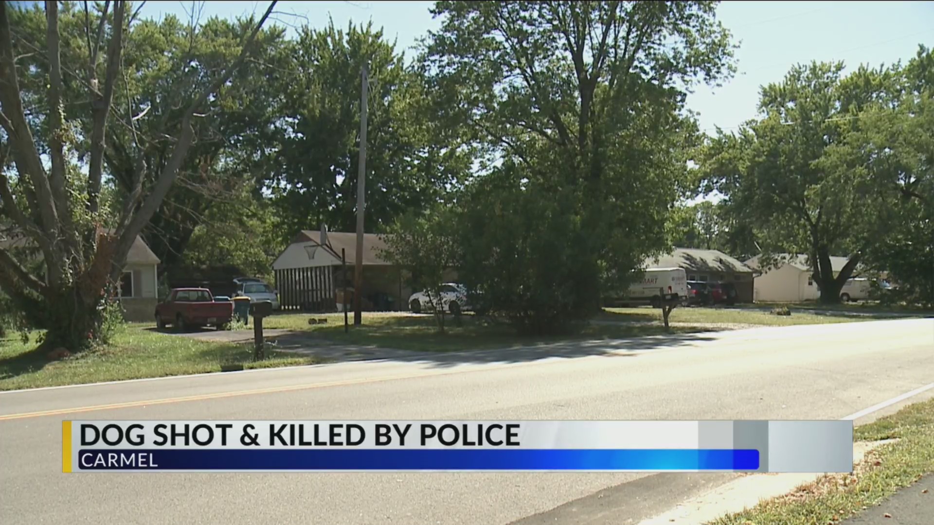 Carmel Police Shoot Dog During Stabbing Response, Victim Declines Hospital