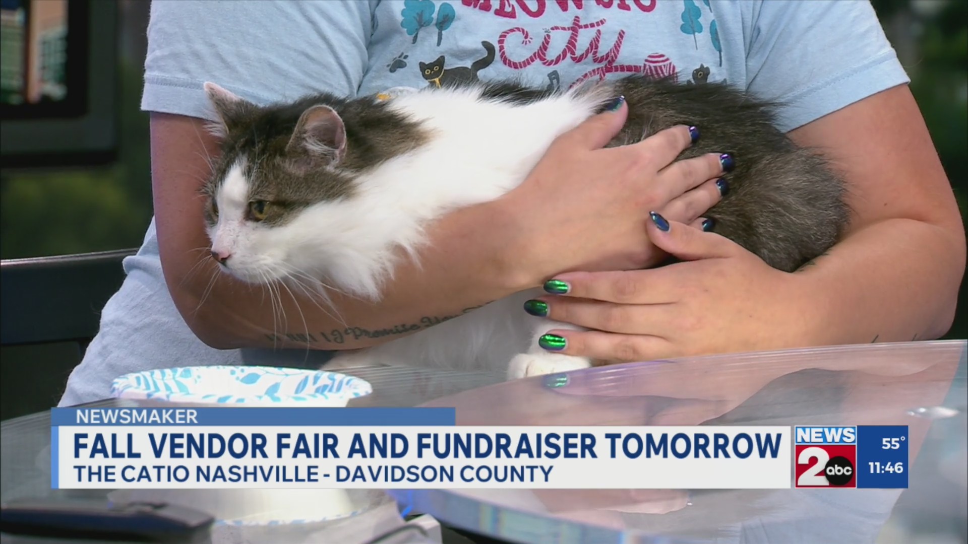 Newsmaker: The Catio Nashville fall vendor fair – WKRN News 2