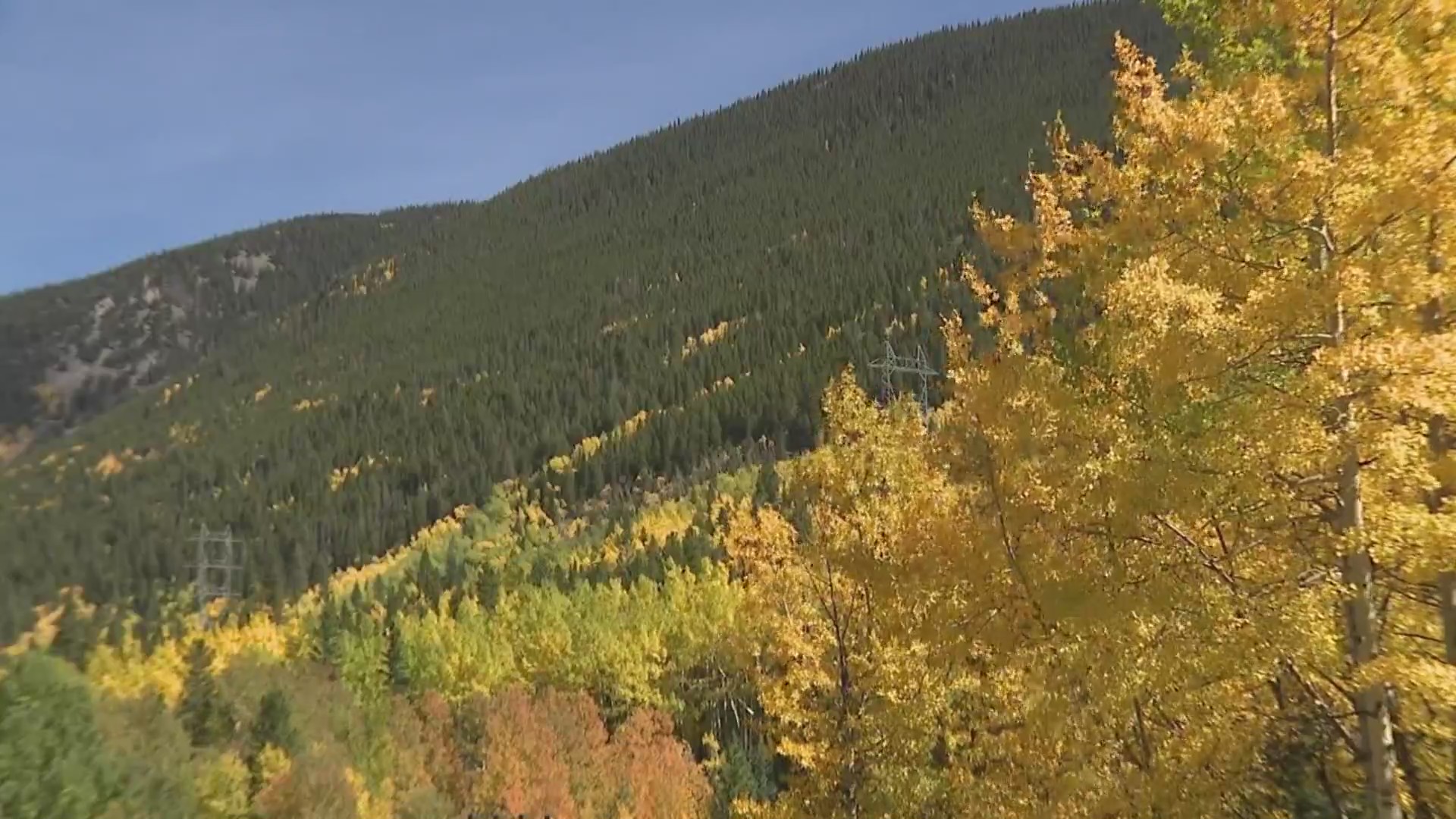 Heading up to Guanella Pass for fall colors? Here’s what to know ...