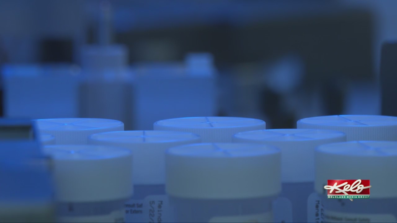 AI technology helps Sanford get test results