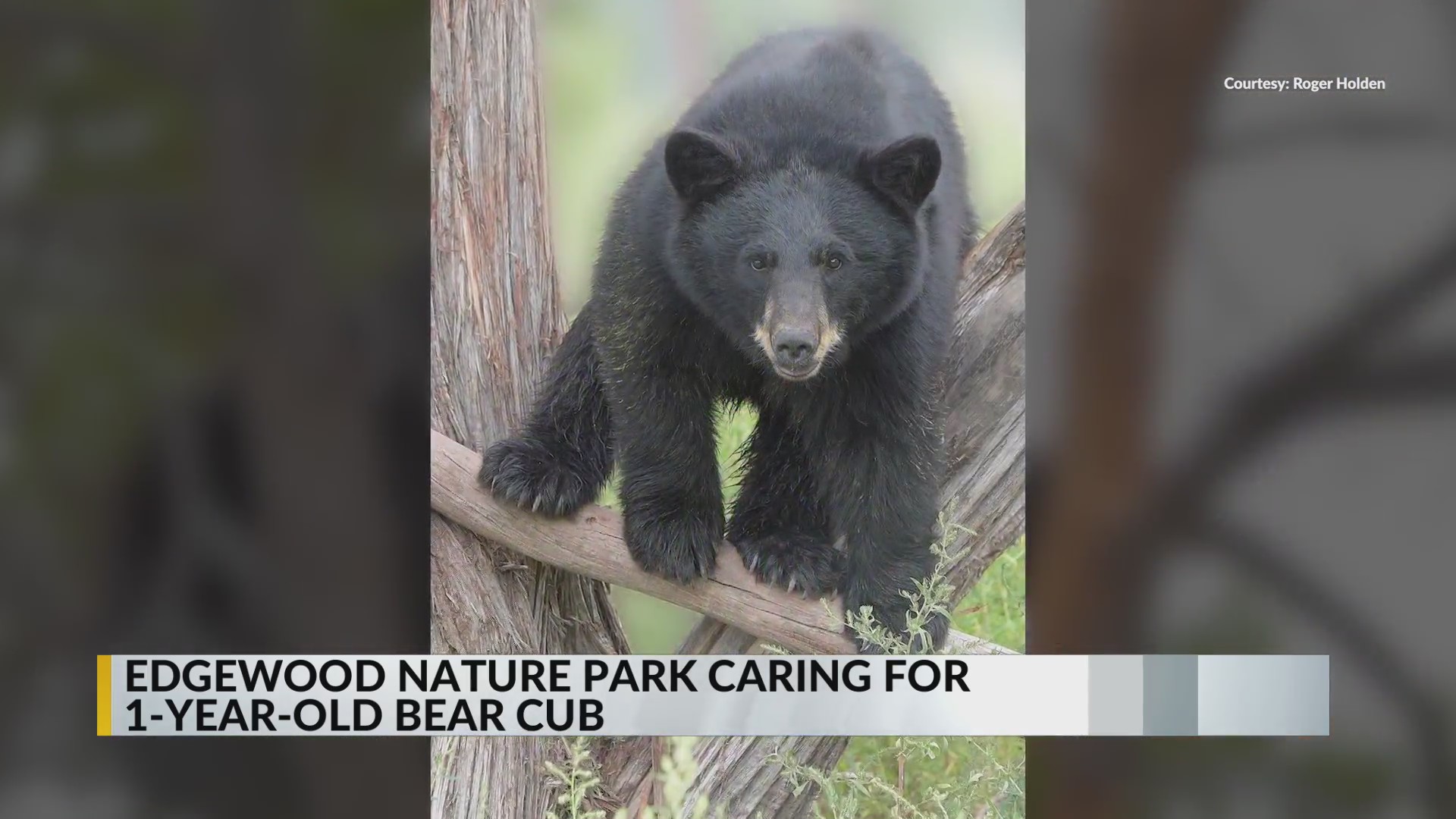 Edgewood nature park asking for donations to help take care of 1year