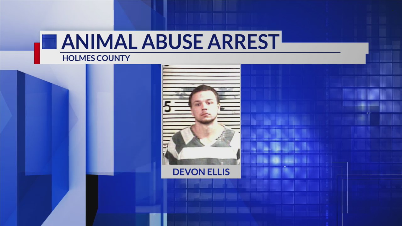 Man arrested on animal cruelty charges in Holmes County – mypanhandle.com