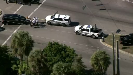 Family hit, 6-year-old killed in Tampa crash – WKRG News 5