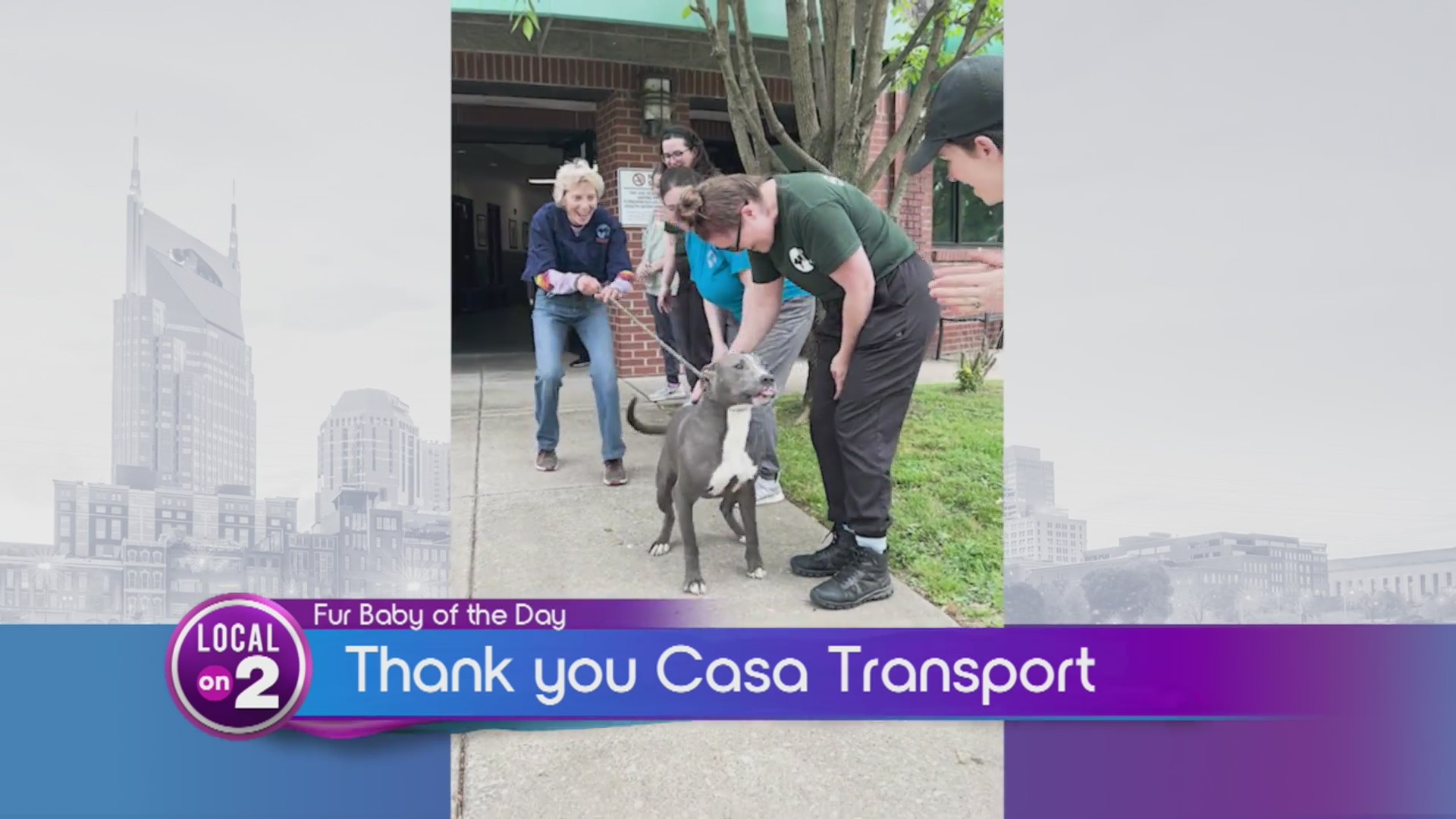 Dog Finds Forever Home After 300 Days in Shelter – WKRN News 2