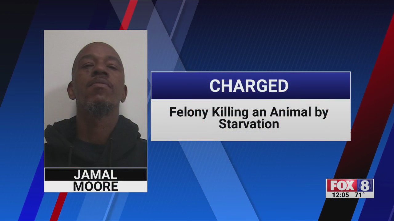 Lexington man charged with animal cruelty after police say multiple ...
