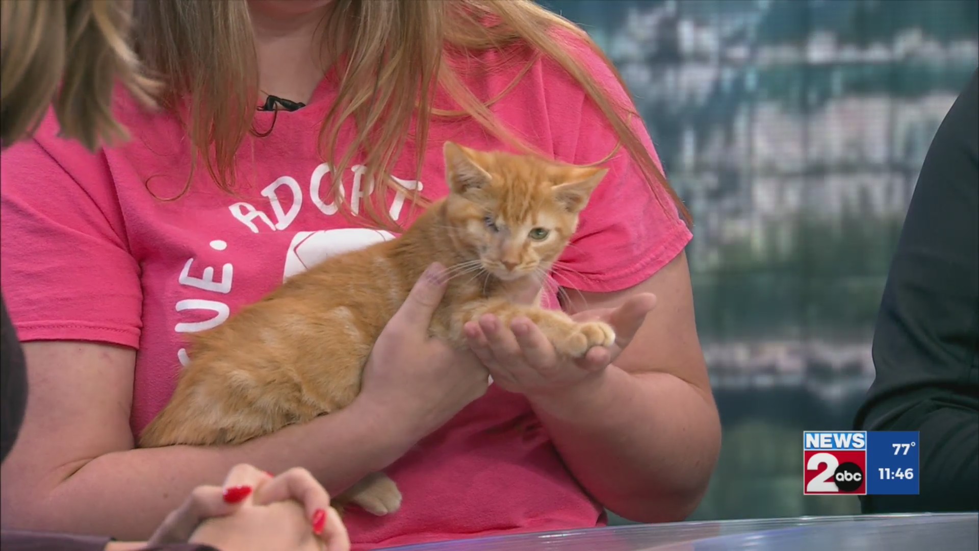 Newsmaker: For Rocking Rescues – WKRN News 2
