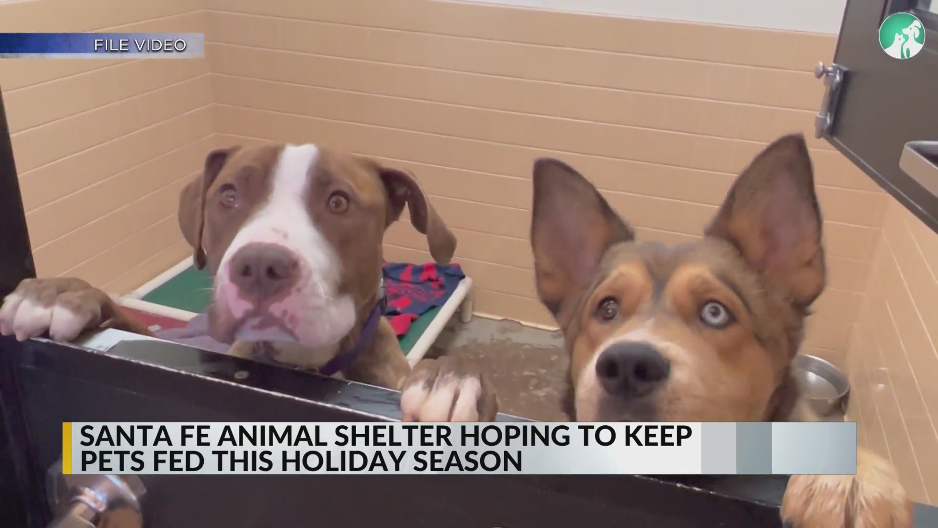 Santa Fe Animal Shelter begins holiday food drive – KRQE NEWS 13 ...