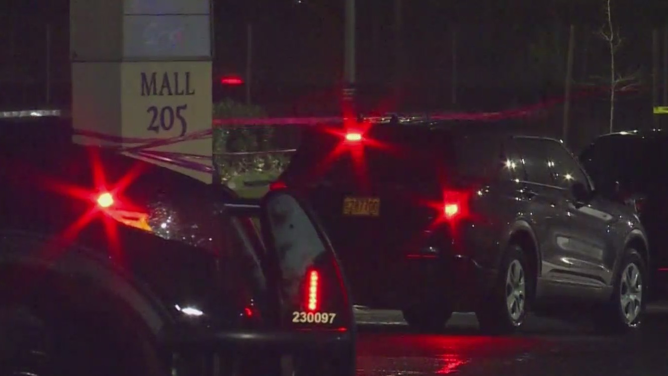 Grand jury clears 3 Portland police officers of charges in fatal Mall ...