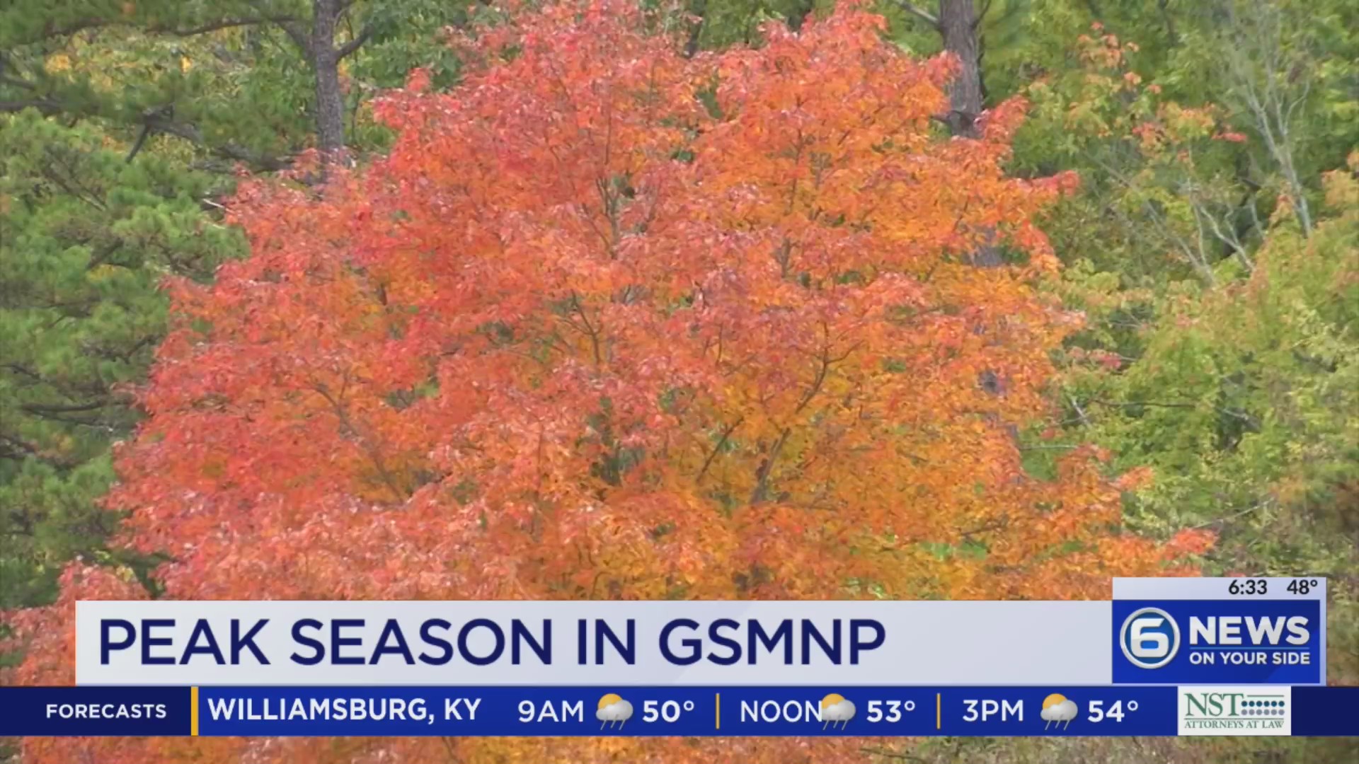 Visitors enjoy Smokies fall foliage while the park stays open through ...